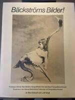 B&auml;ckstr&ouml;ms bilder! : Helmer B&auml;ckstr&ouml;ms fotografihistoriska samling i Fotografiska museet = [The Helmer B&auml;ckstr&ouml;m collection] : prints from the Helmer B&auml;ckstr&ouml;m collection in Fotografiska museet