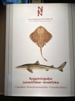 Nationalnyckeln till Sveriges flora och fauna. Ryggstr&auml;ngsdjur. Lansettfiskar - broskfiskar