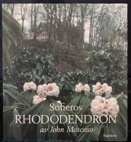 Sofieros rhododendron