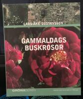 Gammaldags buskrosor