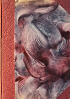 Medeltidens kyrkohistoria: Till XIV:de &aring;rhundradets b&ouml;rjan