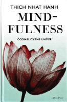 Mindfulness: &Ouml;gonblickens under