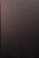 Marina Tsvetajeva: Kvinna &ndash; poet &ndash; Ett ryskt livs&ouml;de