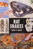 Rat Snakes