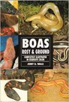Boas: Rosy & Ground