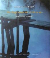 F&ouml;r l&auml;nge sedan var vi vid en sj&ouml;: Anteckningar; appendix