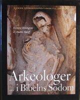 Arkeologer i Bibelns Sodom: Svenska d&ouml;dahavsexpeditionen till Jordanien