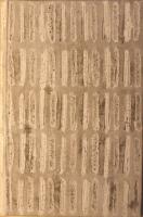 Landet Ingenstans (Erewhon)