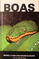 Boas and Other Non-Venomous Snakes