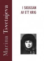 I skuggan av ett krig - M&ouml;ten och samtal 1917-1919