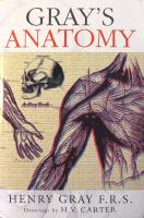 Gray's Anatomy