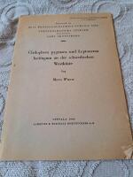 Cladophora pygmaea und Leptonema lucifugum an den Schwedeischen westk&uuml;ste