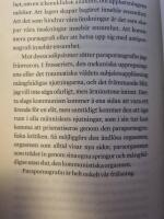 Det parapornografiska manifestet