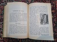 Sibyllans hemligheter: Praktisk sp&aring;doms- och trollkonstbok 