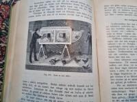 Sibyllans hemligheter: Praktisk sp&aring;doms- och trollkonstbok 