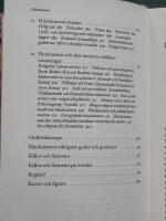 Hinduismen: Historia, tradition, m&aring;ngfald