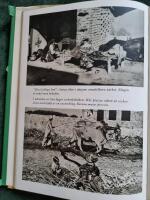 M&ouml;te med Indien