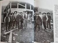 Dr&ouml;mmen om fj&auml;llen [om Borg Mesch]