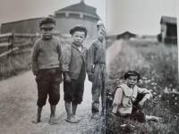 Dr&ouml;mmen om fj&auml;llen [om Borg Mesch]