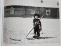 Dr&ouml;mmen om fj&auml;llen [om Borg Mesch]