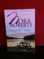 Som ett ljus i natten