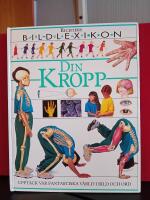 Richters Bildlexikon - Din kropp : uppt&auml;ck v&aring;r fantastiska v&auml;rld i bild och ord