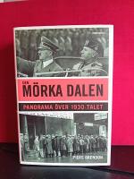 Den m&ouml;rka dalen : Panorama &ouml;ver 1930-talet