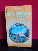 Soluppg&aring;ng &ouml;ver strandpromenaden