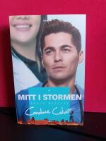 Mitt i stormen