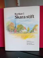 Kyrkor i Skara stift