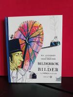 Bilderbok utan bilder : vad m&aring;nen ber&auml;ttade