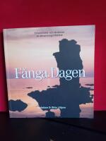 F&aring;nga dagen : erfarenheter och l&auml;rdomar av utmattningstillst&aring;nd