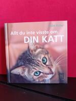 Allt du inte visste om din katt