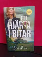 Ett hj&auml;rta i bitar