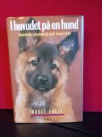 I huvudet p&aring; en hund
