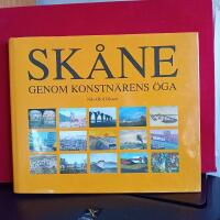 Sk&aring;ne genom konstn&auml;rens &ouml;ga