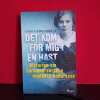 Det kom f&ouml;r mig i en hast : historien om barnam&ouml;rderskan Ingeborg Andersson