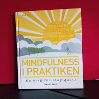 Mindfulness i praktiken - [en steg-f&ouml;r-steg-guide]