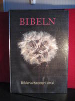 Bibeln - Bilder och texter i urval