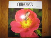 I bikupan Honungsbiets underbara v&auml;rld