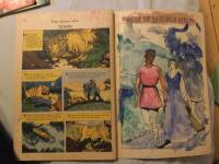 Sagoserien - De magiska tj&auml;narna