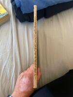 Den envisa hundvalpen