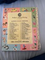 Hiawatha indianpojken