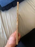 Den Bruna Bj&ouml;rnen