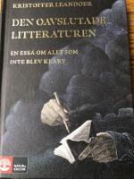 Den oavslutade litteraturen : en ess&auml; om allt som inte blev klart
