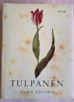 Tulpanen