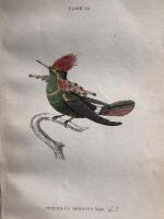 The natural history of humming-birds plate 15
