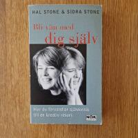 Bli v&auml;n med dig sj&auml;lv : Hur du f&ouml;rvandlar sj&auml;lvkritik till en kreativ resurs