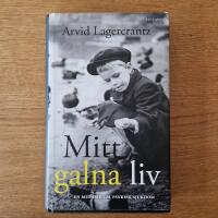 Mitt galna liv : en memoar om psykisk sjukdom