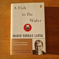 A Fish in the Water